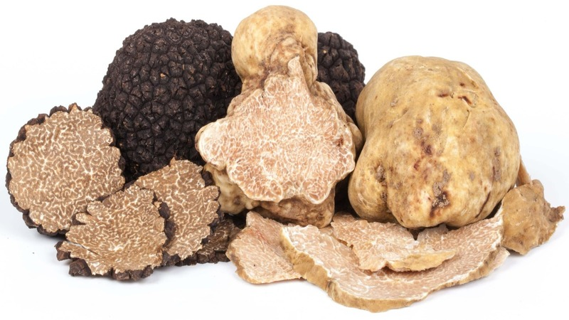 What is a Truffle? and why are they so irresistible?